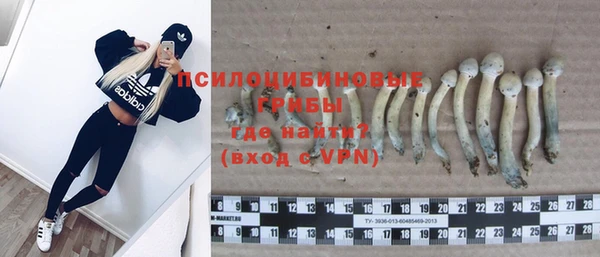 трава Иннополис