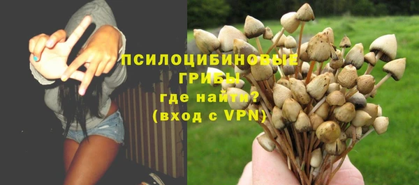 mix Инта