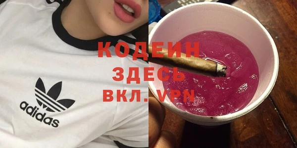 дмт Инсар