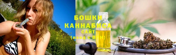 трава Иннополис
