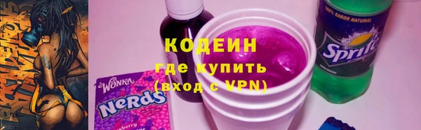 mix Инта