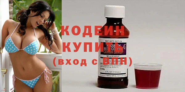 дмт Инсар