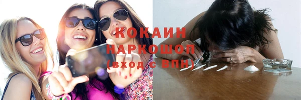 дмт Инсар