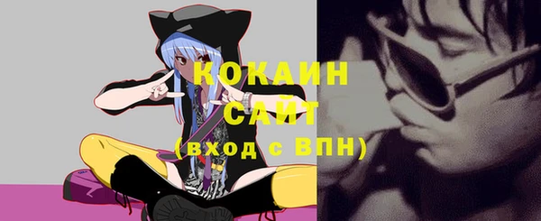 mix Инта