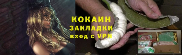 mix Инта