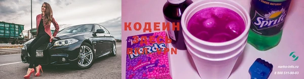 mix Инта