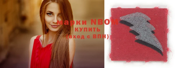 mix Инта