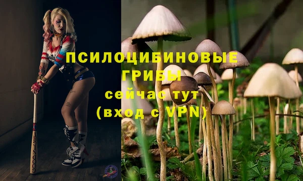 герыч Зеленокумск