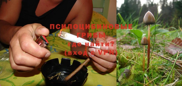 mix Инта