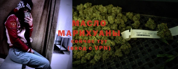 дмт Инсар