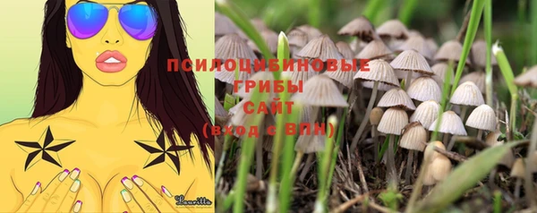 трава Иннополис