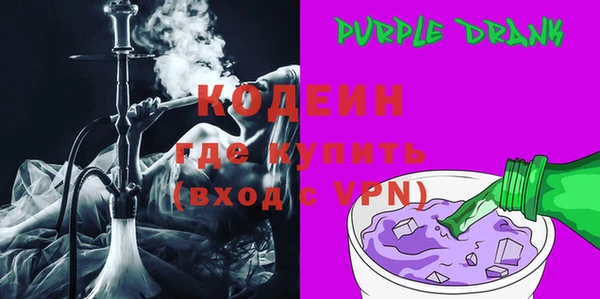 дмт Инсар