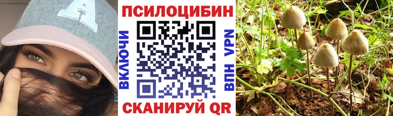 Галлюциногенные грибы Cubensis  Купить закладки  Безенчук 